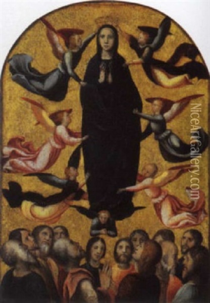 L'assuzione Della Vergine Oil Painting - Defendente Ferrari