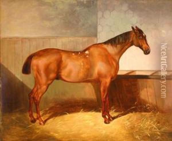 Bay Feeding In A Stall Oil Painting - Walter Harrowing