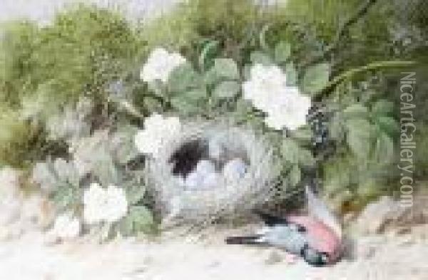 Still Life Of Dog Roses, Bird's 
Nest Andfallen Bullfinch On A Mossy Bank; Still Life Of Wild 
Flowers,bird's Nest And Fallen Goldfinch On A Mossy Bank; A Pair Oil Painting - William Cruickshank