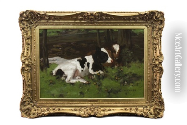 Ayrshire Calves In The Byre Oil Painting - David Gauld