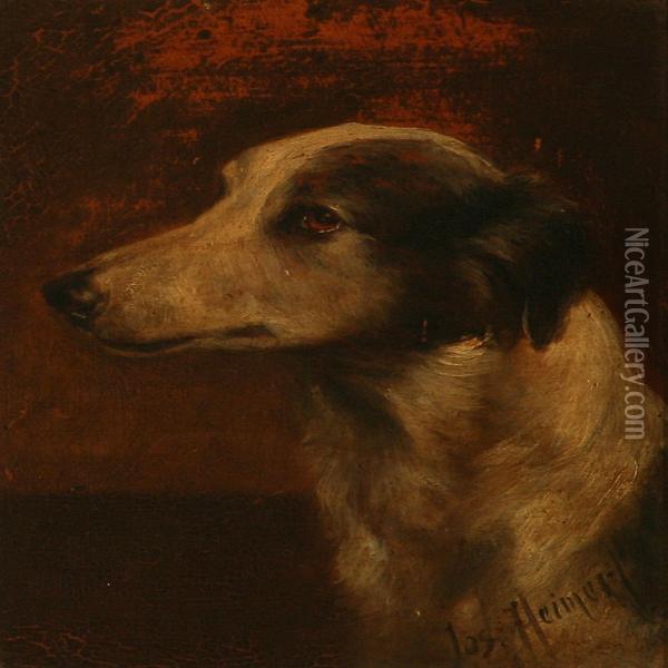 A Dog Oil Painting - Josef Heimerl