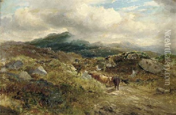 Droving Cattle Across The Scottish Moors Oil Painting - Samuel W. Calvert