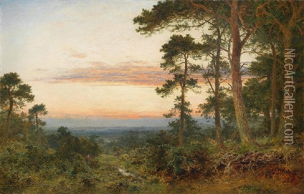 Evening Among The Surrey Pines Oil Painting - Benjamin Williams Leader