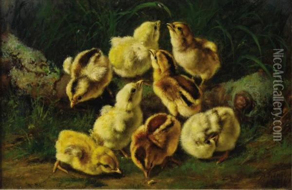 Spring Pets Oil Painting - Arthur Fitzwilliam Tait