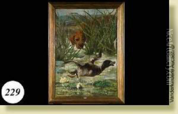 Chien Traquant Le Canard Oil Painting - Edmond Van Der Meulen