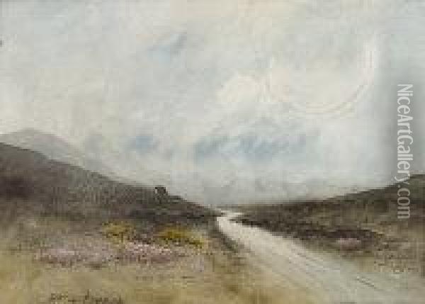 The Road To The Hills Oil Painting - William Percy French