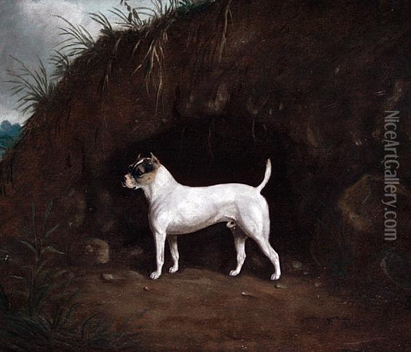 A Dog Standing Before A Muddy Bank Oil Painting - W.J. Gilbert