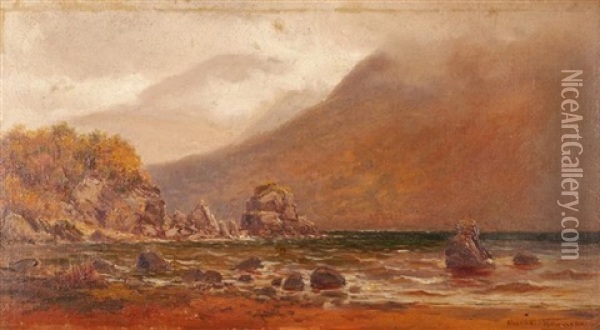 Victoria Rocks, Middle Lake, Killarney, County Kerry Oil Painting - Alexander Williams