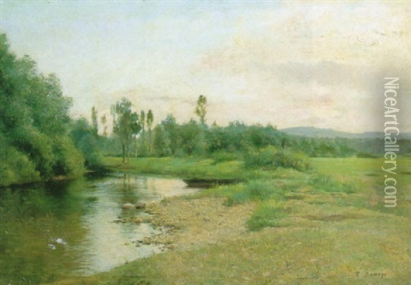 River Landscape (in Sologne?) Oil Painting - Pierre Emmanuel Eugene Damoye