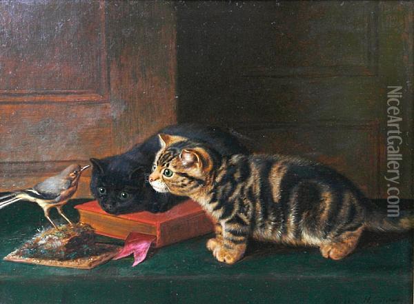 Two Curious Kittens And A Chaffinch Oil Painting - Horatio Henry Couldery