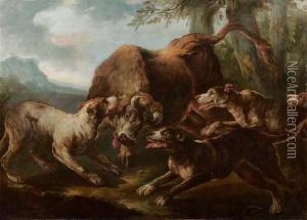Toro Assalito Da Cani Oil Painting - Il Crivellino Giovanni Crivelli