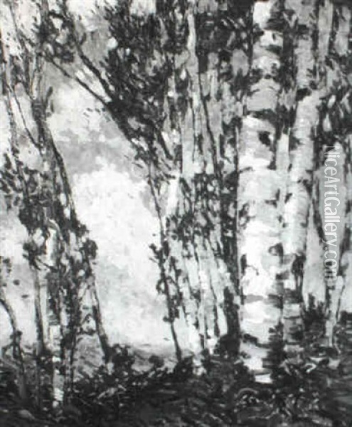 Birches In Summer Breeze Oil Painting - Jonas Lie