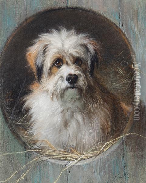 A Terrier Looking Out Of His Kennel Oil Painting - Thomas William Earl