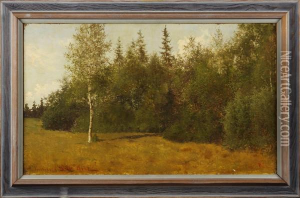 Skogslandskap Oil Painting - Per Daniel Holm