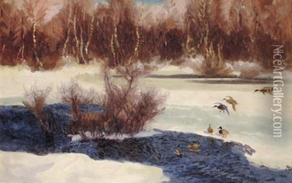 Grasander Vid Fruset Vattendrag (wild Ducks By Frozen Water) Oil Painting - Bruno Andreas Liljefors