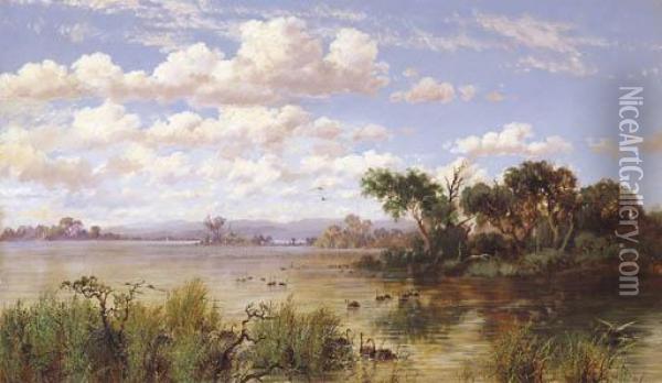 Swans On Lake Oil Painting - Charles Rolando