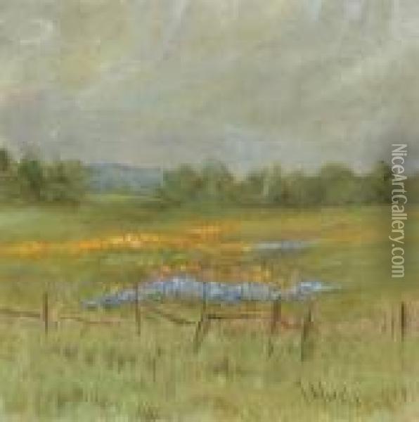 Poppy Scene In Potter Valley Oil Painting - Grace Carpenter Hudson