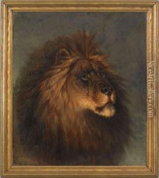 Portrait Of A Lion Oil Painting - Henry Collins Bispham