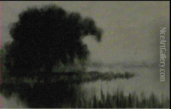 Swamp Scene Oil Painting - Alexander John Drysdale