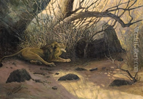Lion In A Thorny Bush Oil Painting - Wilhelm Friedrich Kuhnert