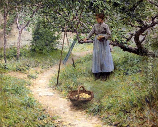 Picking Apples Oil Painting - Elmer Boyd Smith