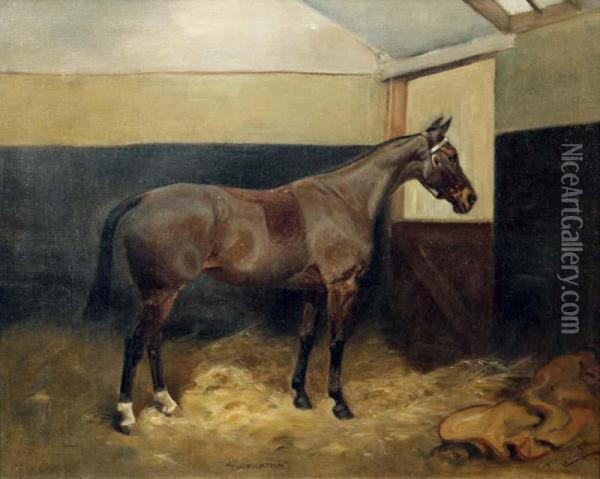 Horse In A Stable Oil Painting - Thomas Ivester Lloyd