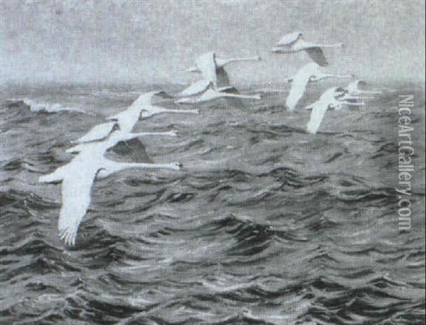 Svaner Over Havet Oil Painting - William Gislander