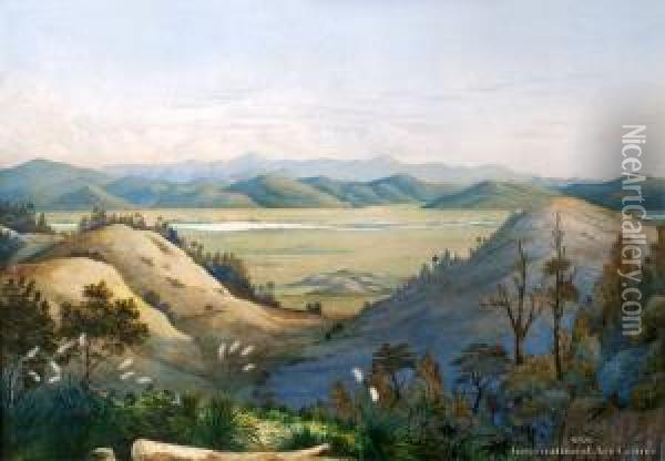 View Of The Mangatawhiri Swamp From Pokeno - Koheroa Pah In The Distance Oil Painting - Alfred Sharpe