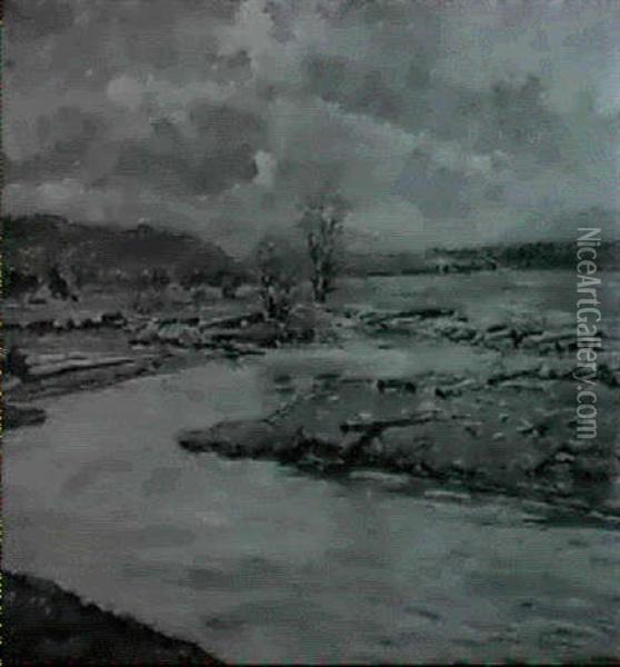 River Landscape Oil Painting - Albert Reich