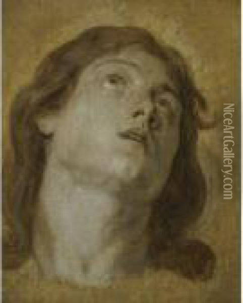 A Head Study Oil Painting - Sir Anthony Van Dyck