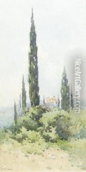 A Villa Amongst Cypress Trees, Corfu Oil Painting - Angelos Giallina