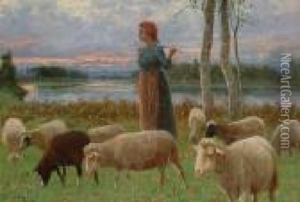 A Young Shepherdess With Her Flock At Dusk Oil Painting - Ruggero Panerai