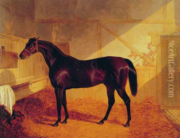 Mr Johnstone's Charles XII in a Stable Oil Painting - John Frederick Herring Snr