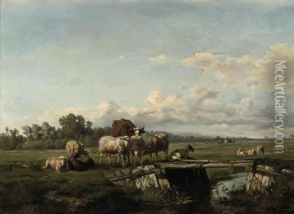 Cattle In The Meadow Oil Painting - Albertus Gerardus Bilders