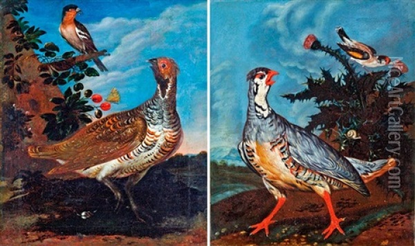Madarak - Parkep Oil Painting - Franz Michael Sigmund von Purgau