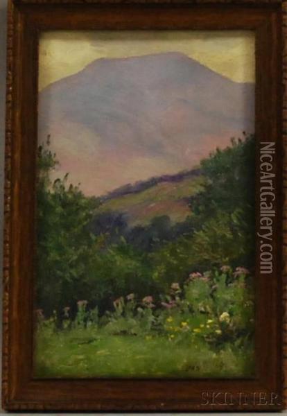 Mount Lafayette, Franconia, New Hampshire Oil Painting - Daniel Francois Santry