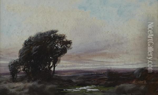 Dartmoor Oil Painting - John Baragwanath King