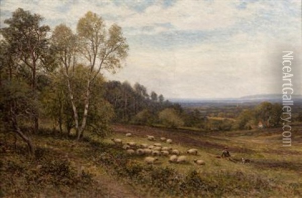 The Young Shepherd And His Flock Oil Painting - Alfred Augustus Glendening Sr.