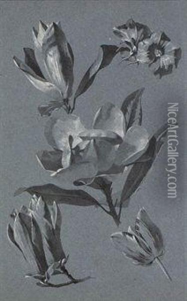 Studies Of Flowers, Including Roses, Tulips, Poppies And Othervarieties Oil Painting - Antoine Berjon