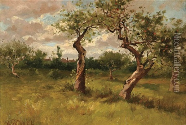 Apple Orchard In Summer Oil Painting - Albert Scott Cox