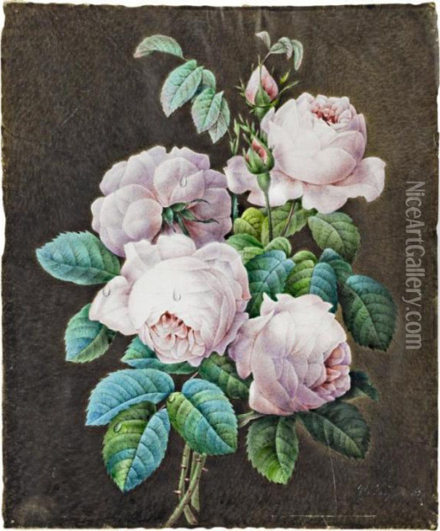 Bouquet De Roses [follower Of 
Pierre-joseph Redoute; Bouquet Of Roses; Watercolour And Gouache On 
Vellum Indisctincly Signed V.jacqu... And Dated 1839; Unframed] Oil Painting - Pierre-Joseph Redoute