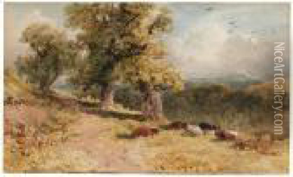 Cattle Resting In A Wooded Landscape Oil Painting - William James Bennett