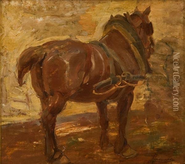 Cavallo Di Tergo Con Finimenti Oil Painting - Ludovico Tommasi