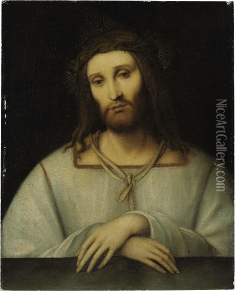 Christ As Man Of Sorrows Oil Painting - Bernardino Luini