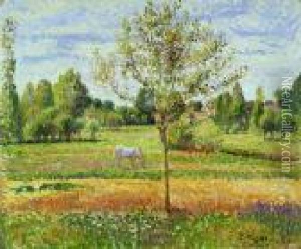 Le Pre Avec Chevalgris, Eragnyï¼ˆthe Meadow With The Grey Horse,eragnyï¼‰ Oil Painting - Camille Pissarro