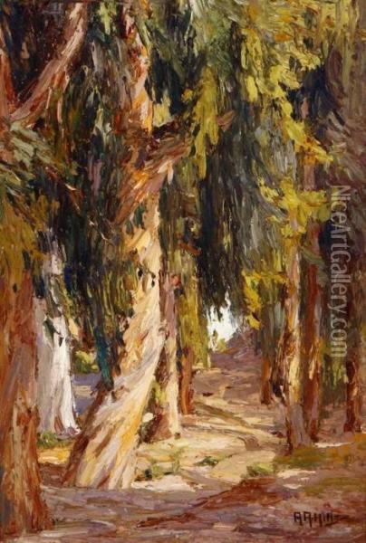 Eucalyptus In Fairy Wood - Laguna Beach Oil Painting - Anna Althea Hills