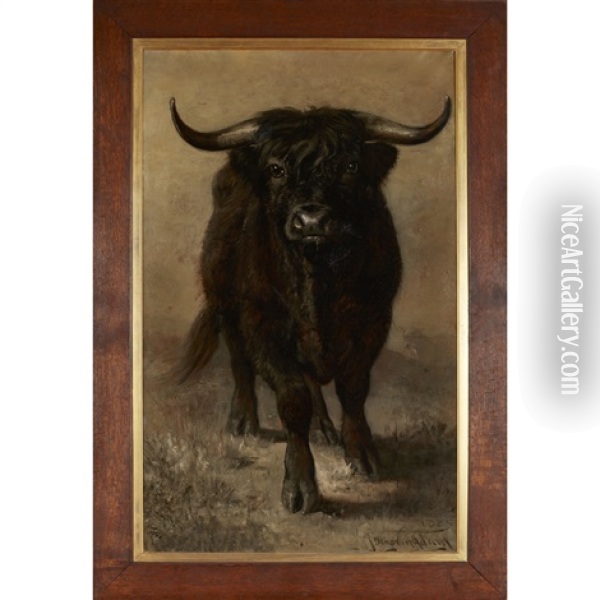 Portrait Of A Bull Oil Painting - Joseph Denovan Adam
