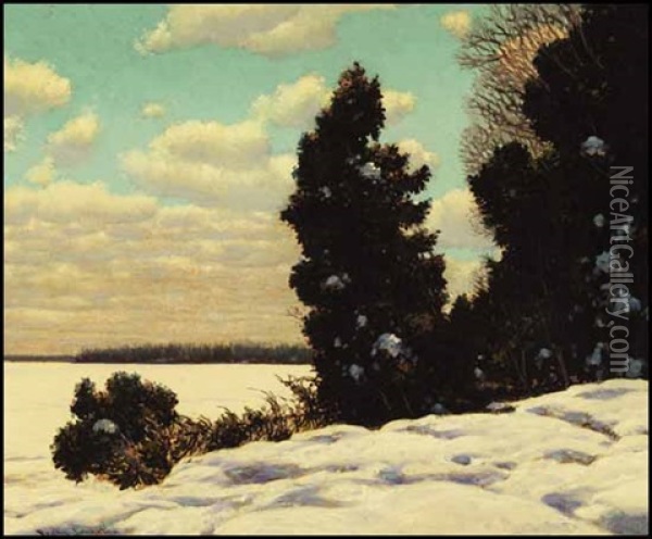 Noonlight In The North Oil Painting - Francis Hans Johnston