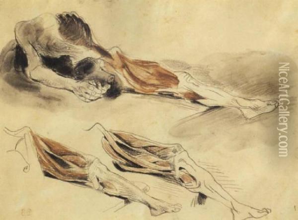 Anatomical Studies Oil Painting - Eugene Delacroix