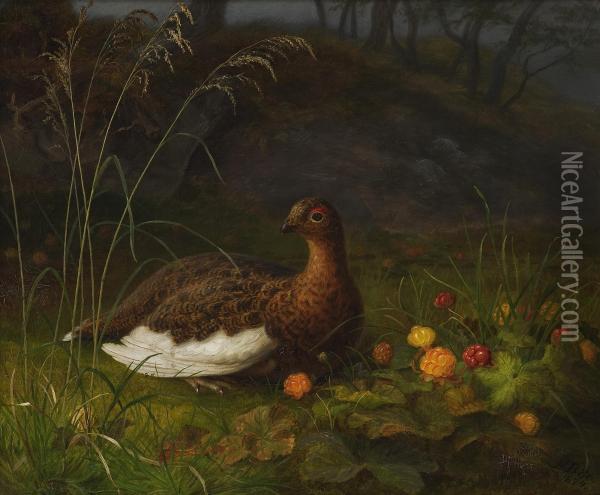 Ptarmigan And Cloudberry Oil Painting - Frants Diderik Boe